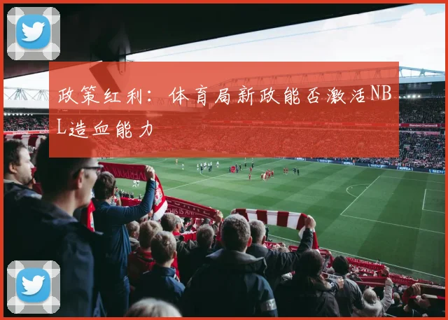 政策红利：体育局新政能否激活NBL造血能力