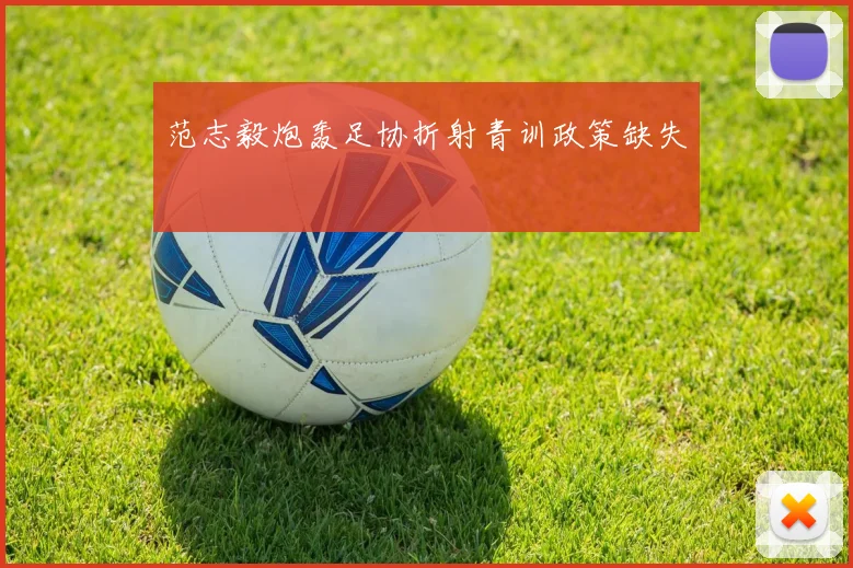 范志毅炮轰足协折射青训政策缺失