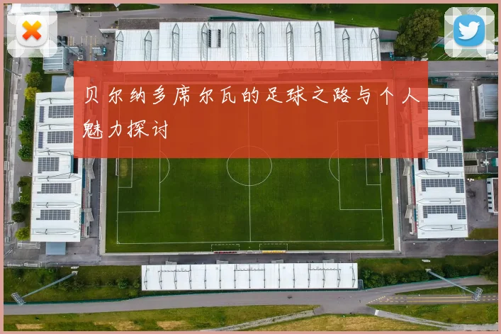 贝尔纳多席尔瓦的足球之路与个人魅力探讨
