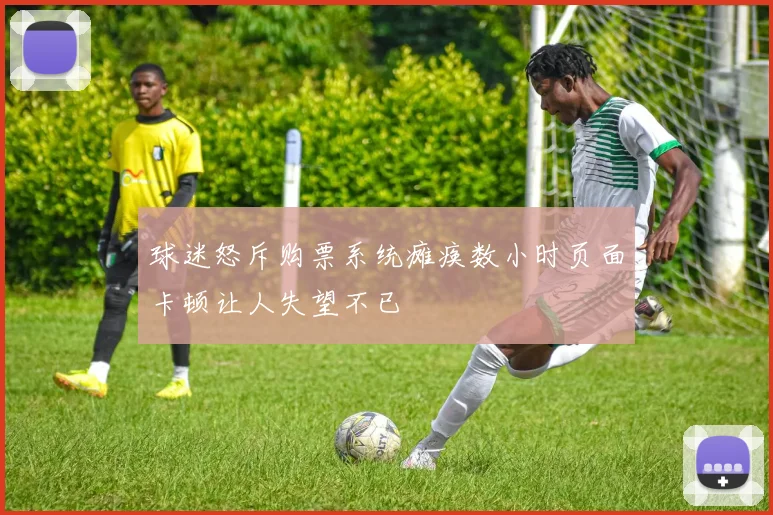 球迷怒斥购票系统瘫痪数小时页面卡顿让人失望不已
