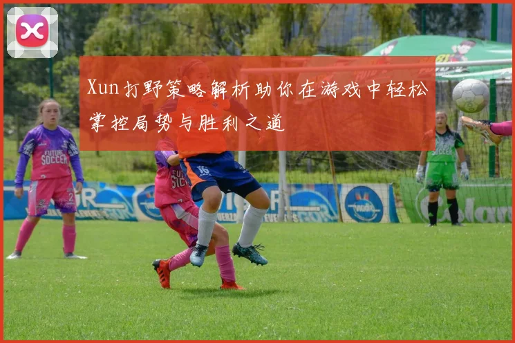 Xun打野策略解析助你在游戏中轻松掌控局势与胜利之道
