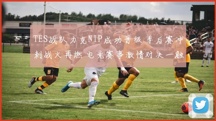 TES战队力克NIP成功晋级 季后赛冲刺战火再燃 电竞赛事激情对决一触即发