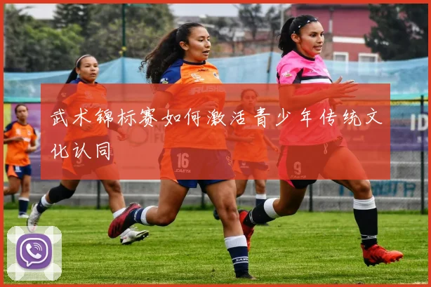 武术锦标赛如何激活青少年传统文化认同