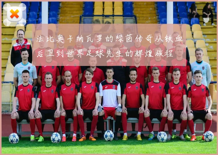 法比奥卡纳瓦罗的绿茵传奇从铁血后卫到世界足球先生的辉煌旅程